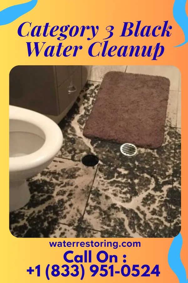 Category 3 Black Water Cleanup in Andover, OH